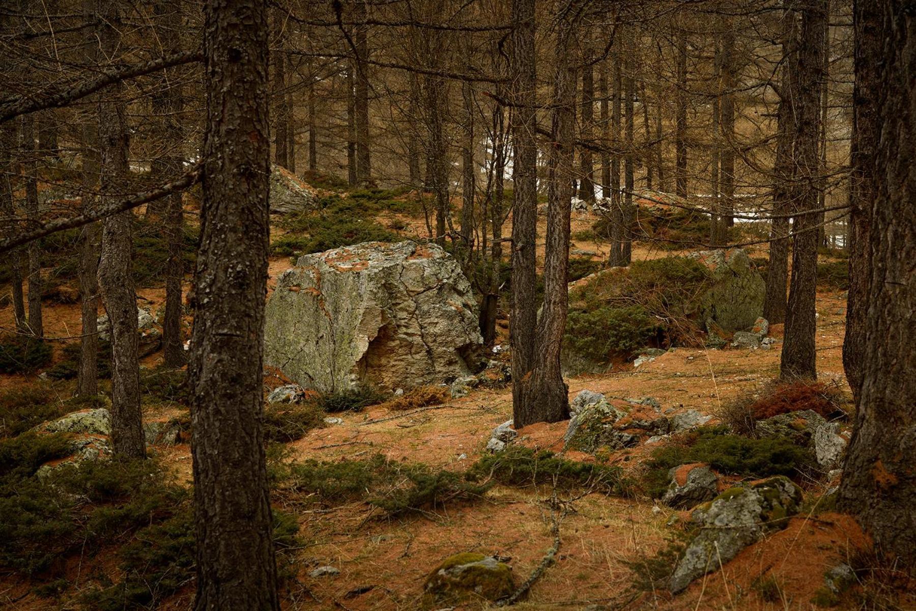 Rifugio Lou Lindal Ξενοδοχείο Canosio Εξωτερικό φωτογραφία